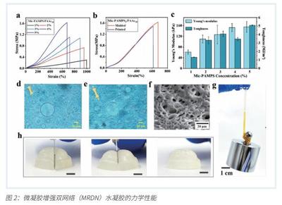 3D打印微結(jié)構(gòu)水凝膠傳感器 開啟可穿戴智能醫(yī)療設(shè)備制造新篇章